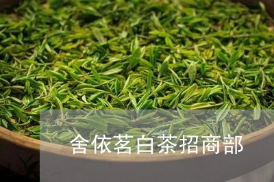 舍依茗白茶招商部/2023071198593