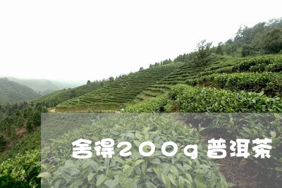 舍得200g普洱茶/2023112682813