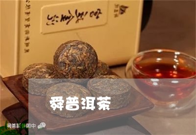 舜普洱茶/2023090132605