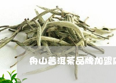 舟山普洱茶品牌加盟店有哪些/2023052884915