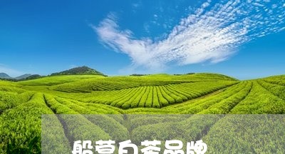 船营白茶品牌/2023052446493