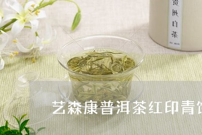 艺森康普洱茶红印青饼/2023061567167