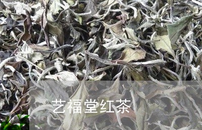 艺福堂红茶/2023121903717