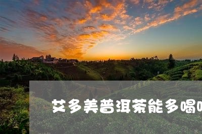 艾多美普洱茶能多喝吗/2023072194726