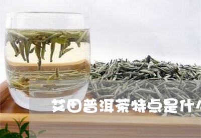 艾田普洱茶特点是什么味道/2023121859571