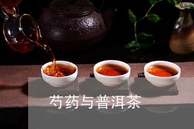 芍药与普洱茶/2023042739498