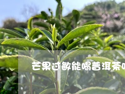 芒果过敏能喝普洱茶吗女生/2023082866148