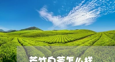 芒竹白茶怎么样/2023061094917