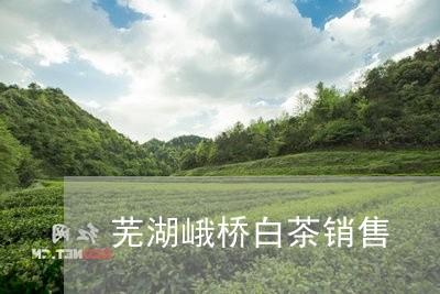 芜湖峨桥白茶销售/2023071152726