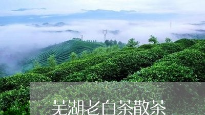 芜湖老白茶散茶/2023061058372