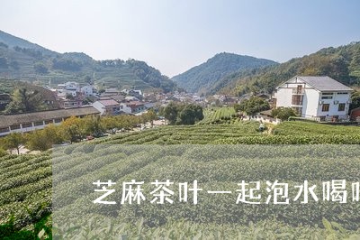 芝麻茶叶一起泡水喝吗/2023092398270