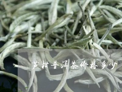 芦柑普洱茶价格多少/2023071027270