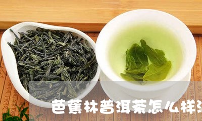 芭蕉林普洱茶怎么样泡好喝/2023121805937