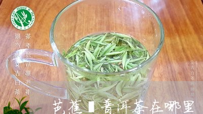 芭蕉箐普洱茶在哪里/2023110847494