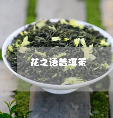 花之语普洱茶/2023042756354