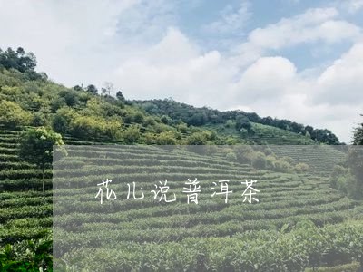 花儿说普洱茶/2023042871731