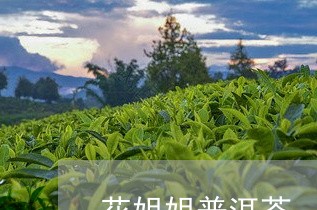 花姐姐普洱茶/2023112607168