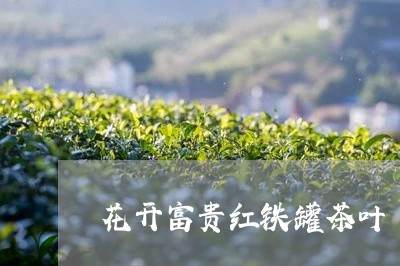 花开富贵红铁罐茶叶/2023041821715