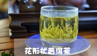 花形状普洱茶/2023042689940