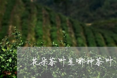 花朵茶叶是哪种茶叶/2023042595047