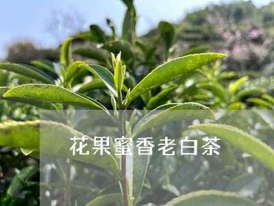 花果蜜香老白茶/2023061061625