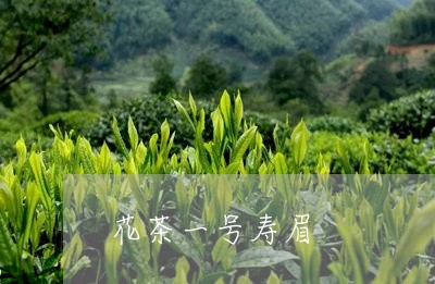 花茶一号寿眉/2023052450502