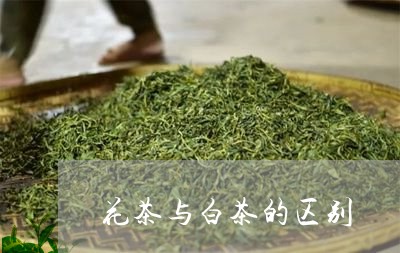 花茶与白茶的区别/2023071117160