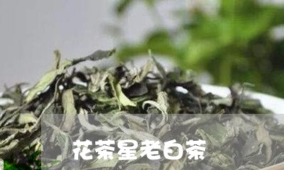 花茶星老白茶/2023052456492