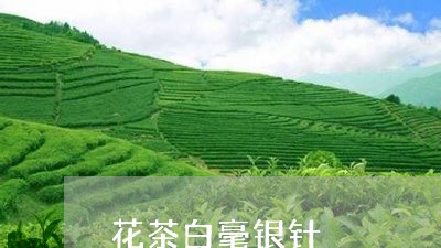 花茶白毫银针/2023052468482