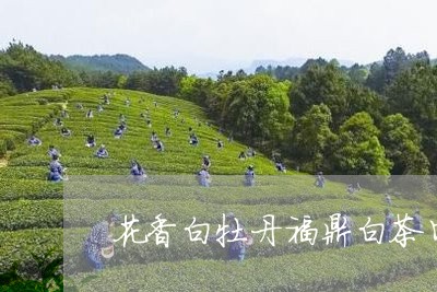 花香白牡丹福鼎白茶口感/2023111615949