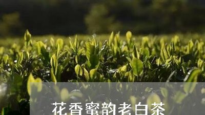 花香蜜韵老白茶/2023073192604