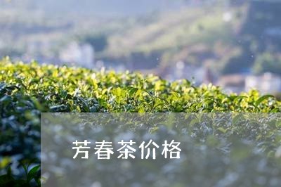 芳春茶价格/2023122079426