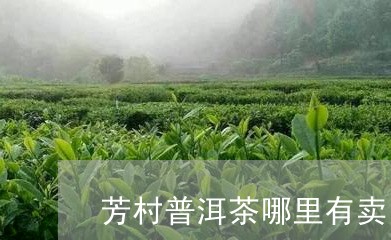 芳村普洱茶哪里有卖的地方/2023121841381