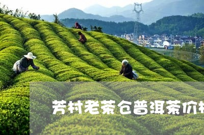 芳村老茶仓普洱茶价格/2023100795958