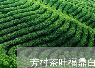 芳村茶叶福鼎白茶/2023082508481