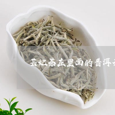 芸妃茶庄里面的普洱茶/2023092784815