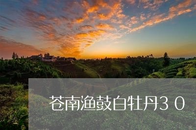 苍南渔鼓白牡丹30/2023120594917