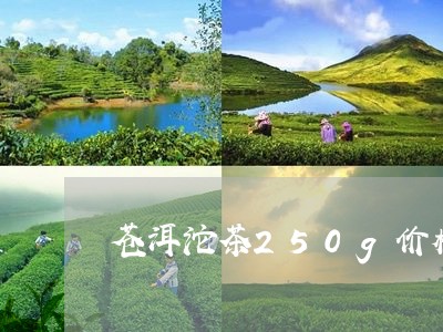 苍洱沱茶250g价格/2023071562726