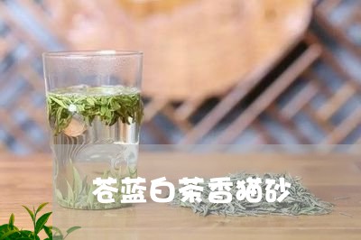 苍蓝白茶香猫砂/2023073194140