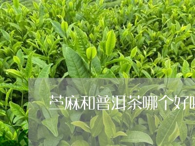 苎麻和普洱茶哪个好喝/2023080234828