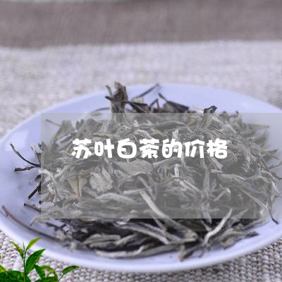 苏叶白茶的价格/2023061015159