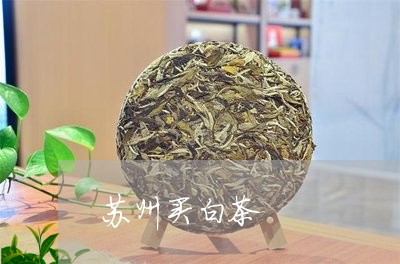 苏州买白茶/2023051184736