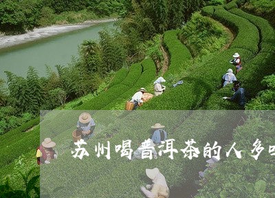 苏州喝普洱茶的人多吗/2023062060603