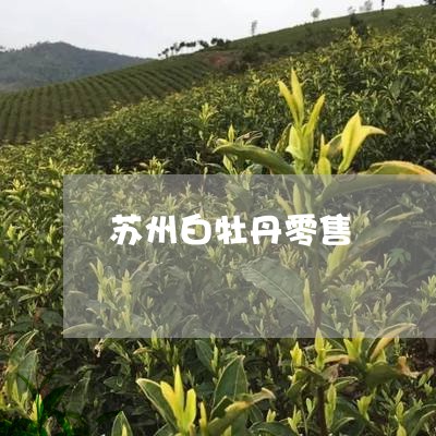 苏州白牡丹零售/2023112322726