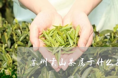 苏州贡山茶属于什么茶/2023071471714