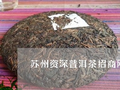 苏州资深普洱茶招商网/2023092570937