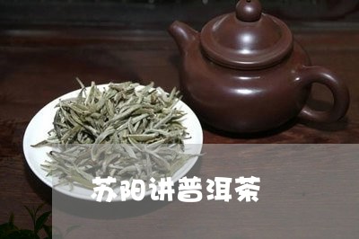 苏阳讲普洱茶/2023112603958