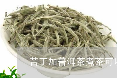 苦丁加普洱茶煮茶可以吗/2023110815057