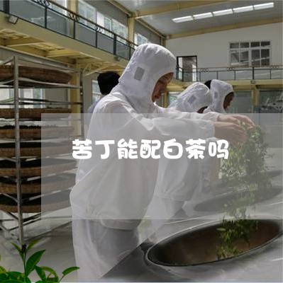 苦丁能配白茶吗/2023061088392