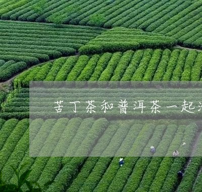 苦丁茶和普洱茶一起泡/2023092616379